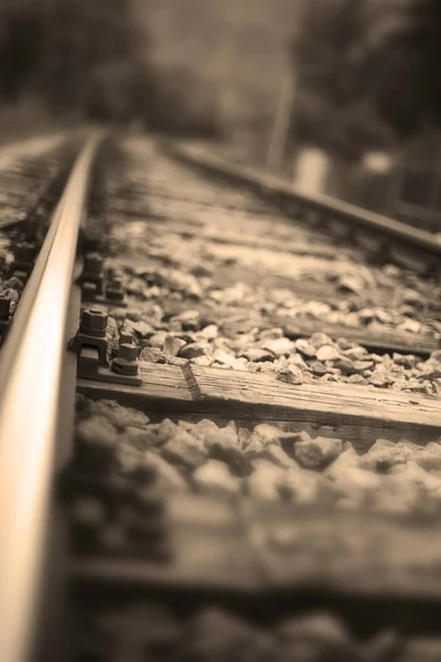 Low Angle Railway Tracks Rails — Stock Photo, Image