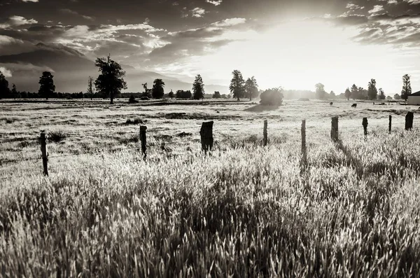 Pôr Sol Com Cercado Fora Pasto Preto Branco South Island — Fotografia de Stock