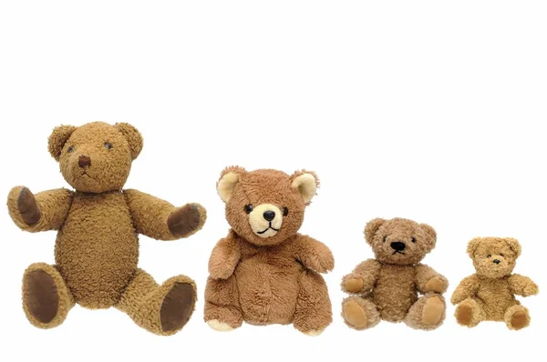 Vier Verschillende Teddyberen Geïsoleerd Wit Studio — Stockfoto