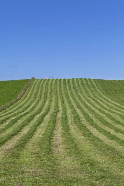 Campo Segado Cerca Pfaffenwinkel Wessobrunn Alta Baviera Baviera Alemania Europa — Foto de Stock