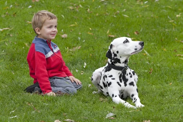 Malý Chlapec Dalmatinem — Stock fotografie