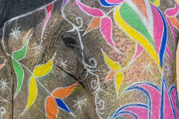 Bemalte Elefanten Bernstein Festung Jaipur Rajasthan Indien Asien — Stockfoto