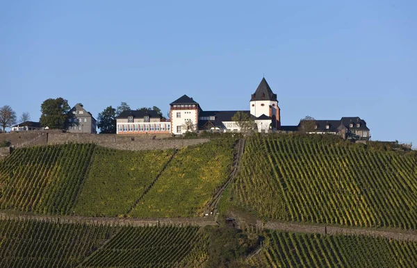 Marienburg 城堡在 Puenderich Bullay Landkreis Cochem 泽尔区 莱茵兰德 — 图库照片