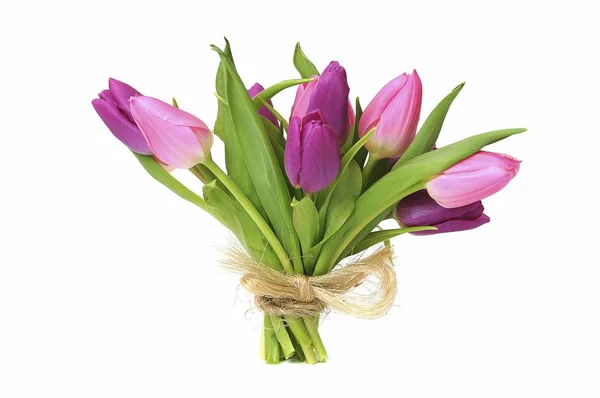 Strauß Von Tulpen Blumen Isoliert Auf Weiß — Stockfoto