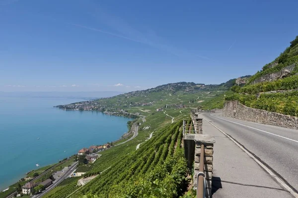 Vista Attraverso Vigneti Verso Villaggio Cully Lago Ginevra Sul Retro — Foto Stock