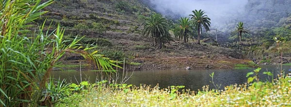 Embalse Agulo Reservoir Mit Palmen Agulo Gomera Kanarische Inseln Spanien — Stockfoto