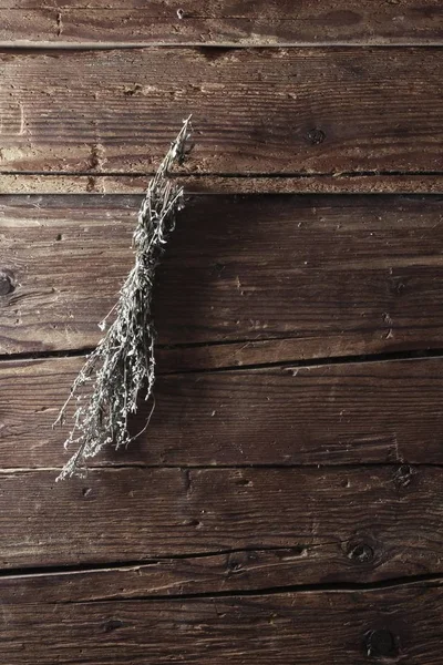 Armoise Séchée Artemisia Vulgaris Suspendue Mur Rustique Bois — Photo