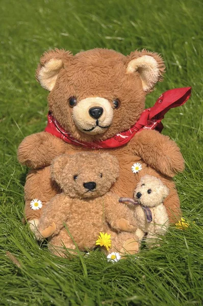 Teddy Bear Familj Sitter Gräset — Stockfoto