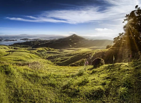 Meadow Raking Light Sun Rays Warm Morning Sun Hoopers Inlet — Stockfoto