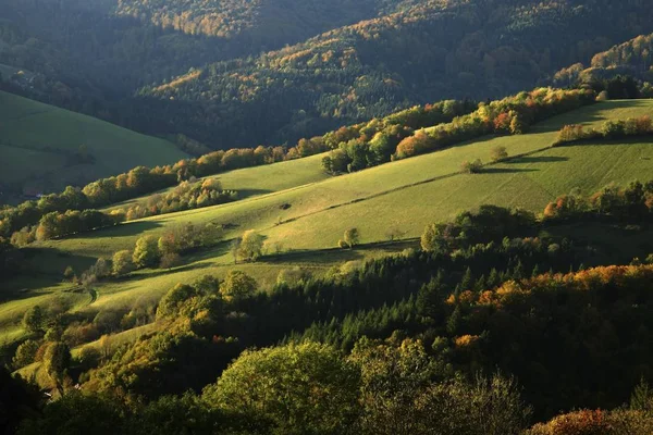 Herbstliche Landschaft Bei Peter Schwarzwald Baden Wuerttemberg Deutschland Europa — Stockfoto