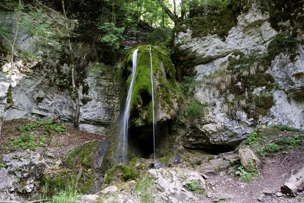Wutach 渓谷自然保護区 黒い森 バーデン Wrttemberg ドイツ ヨーロッパでその奇妙なトゥファの形成と Tannegger — ストック写真