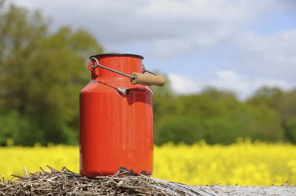 Churn Leite Vermelho Sobre Fardo Palha Campo Estupro Parte Trás — Fotografia de Stock