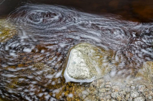 Stream Brown Water Coloured Plant Tannins Condensed Proanthocyanidins Karamea Kohaihai — Stock Photo, Image