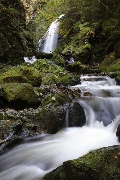 Ravennaschlucht Rokle Nedaleko Hinterzartenu Černý Les Bádensko Württembersko Německo Evropa — Stock fotografie