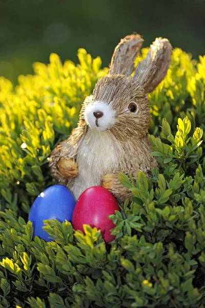 Easter Bunny Figure Brightly Coloured Easter Eggs — Stock Photo, Image