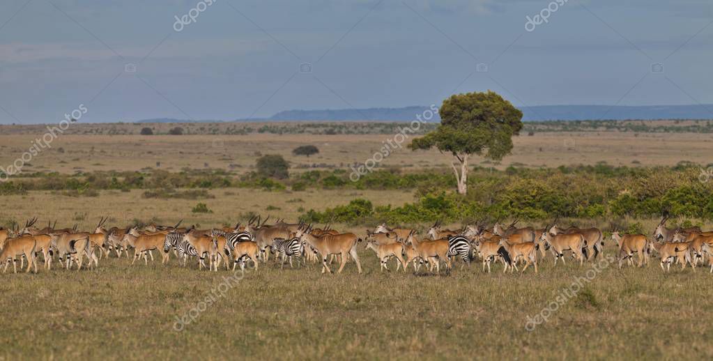 migrations #hashtag