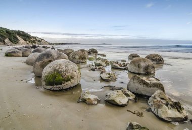 Moeraki Boulders, geological feature, round rock balls, some fragments lying broken in ruins on the beach, Coastal Otago, Moeraki, South Island, New Zealand, Oceania clipart