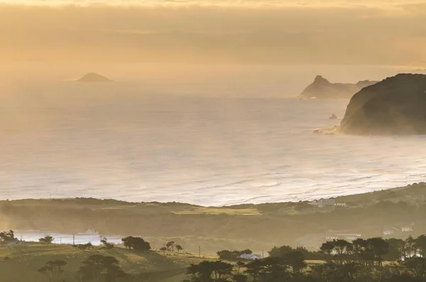 Dunedin pláž při západu slunce — Stock fotografie