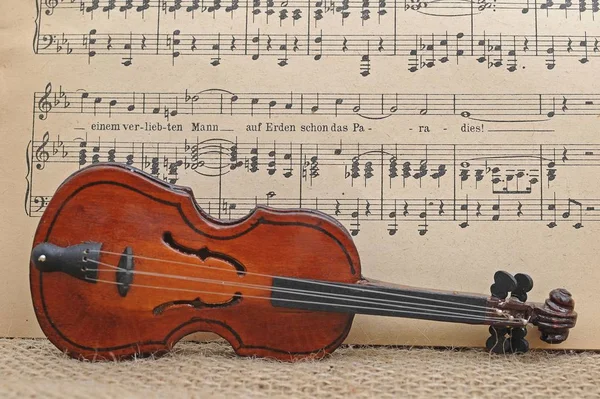 Βιολί Μπροστά Από Φύλλο Μουσική Τραγούδι Συμφωνική Ορχήστρα — Φωτογραφία Αρχείου