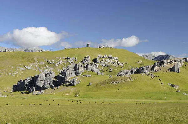 Mészkő Sziklaalakzatok Vár Hegy South Island Zéland Ausztrália Óceánia — Stock Fotó