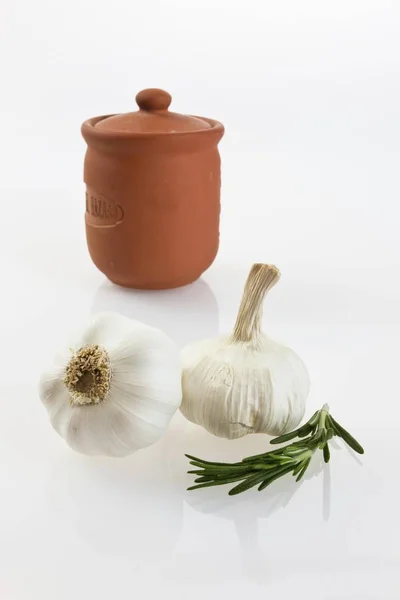 Knoflook Allium Sativum Met Klei Pot Verse Rozemarijn — Stockfoto