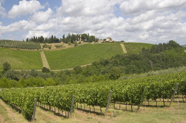 Landskab Chianti Regionen Toscana Italien Europa - Stock-foto