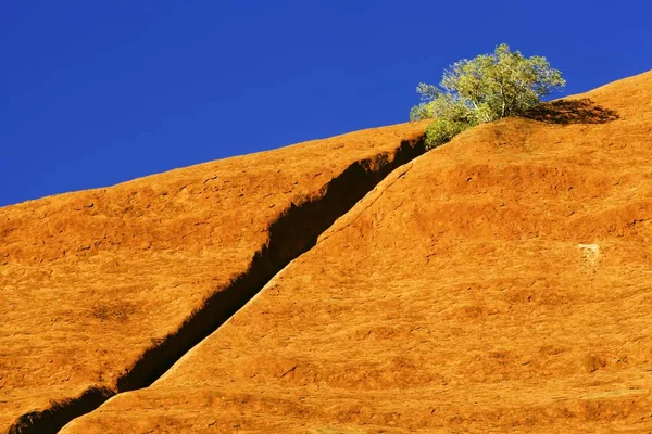 Collina Giallo Brillante Con Cespuglio Verde — Foto Stock