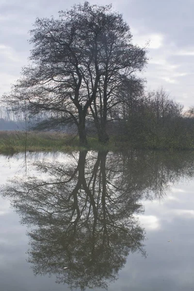 Stojaté Vody Řeky Ems Emsland Německo Evropa — Stock fotografie