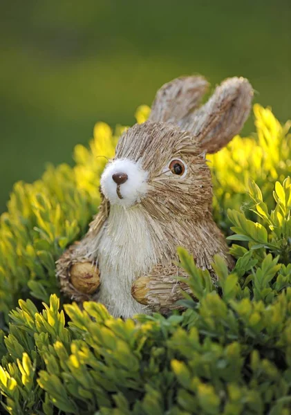 Decorative Easter Bunny Figure — Stock Photo, Image