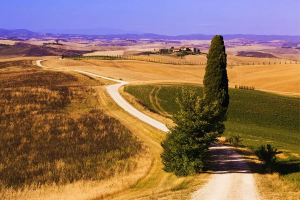 Typisch Toscaanse landschap — Stockfoto