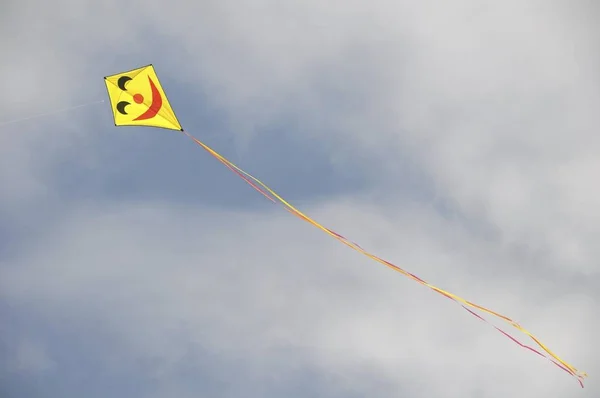 风筝在空中 风筝飞行 圣彼得 石勒苏益格 黑白花牛 — 图库照片