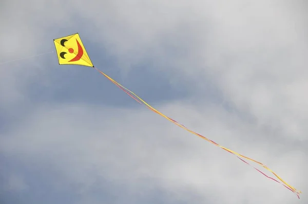 Kite Air Kite Flying Peter Ording Schleswig Holstein Alemanha Europa — Fotografia de Stock