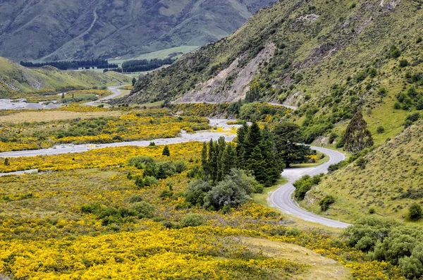 Country Road Winding Valley Yellow Flowers Driving Left Arthur Pass — Stock Photo, Image