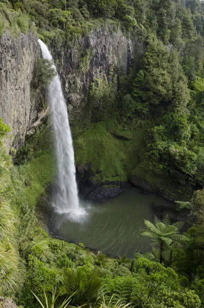 Bridal Veil Falls Raglan Waikato North Island New Zealand Oceania — Stock Photo, Image