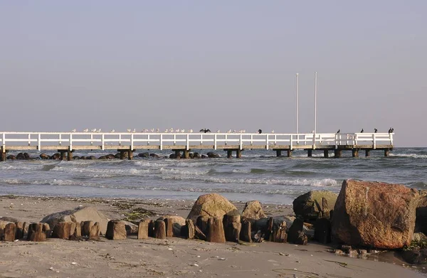 Groemitz Pier Met Golfbrekers Oostzee Groemitz Sleeswijk Holstein Duitsland Europa — Stockfoto