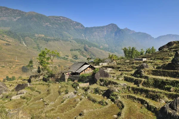 Evler Pirinç Çiftçiler Teraslar Pirinç Paddies Yakınındaki Sapa Lao Cai — Stok fotoğraf