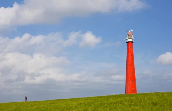 Maják Nizozemském Městě Den Helder Nizozemsko Evropa — Stock fotografie