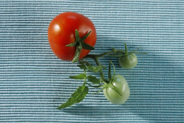 Tomates vermelhos frescos suculentos — Fotografia de Stock