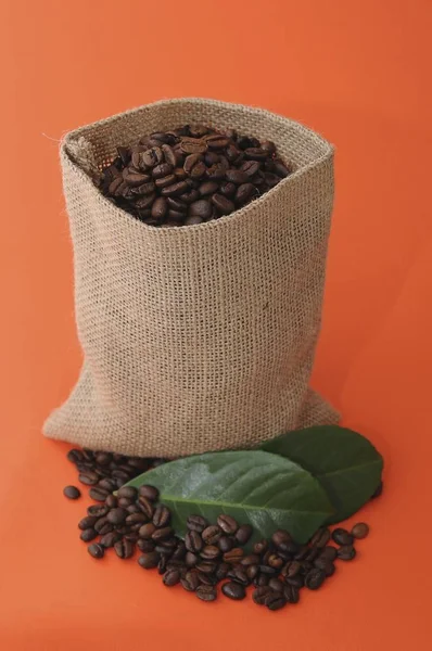 Coffee Beans Burlap Sack — Stock Photo, Image