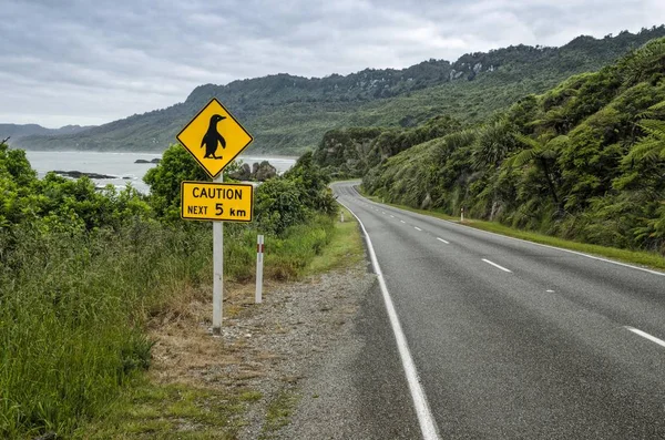 Kustvägen Den Paparoa Nationalpark Västkusten Sydön Nya Zeeland Oceanien — Stockfoto