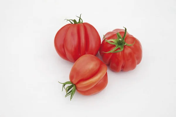 Red Fresh Tomatoes Isolated White — Stock Photo, Image