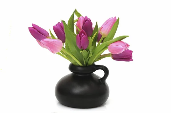 Kytice Tulipánů Váze Izolované Bílém — Stock fotografie