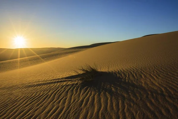 纳米沙漠 Naukluft 纳米比亚 — 图库照片