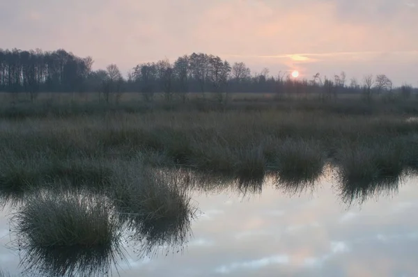 Dutch Raised Bog Reserve Sunrise Bargerveen Holland Netherlands Europe — Stock Photo, Image
