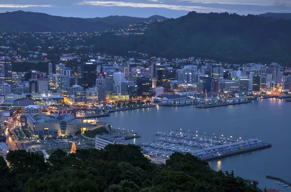 Paysage Urbain Wellington Port Crépuscule Nouvelle Zélande Île Nord Océanie — Photo