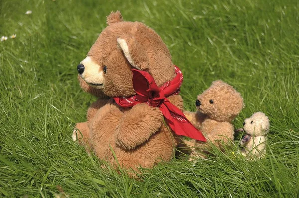 Teddybär Familie Sitzt Auf Gras — Stockfoto