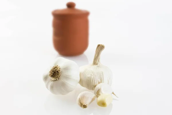 Knoblauch Allium Sativum Mit Tontopf — Stockfoto