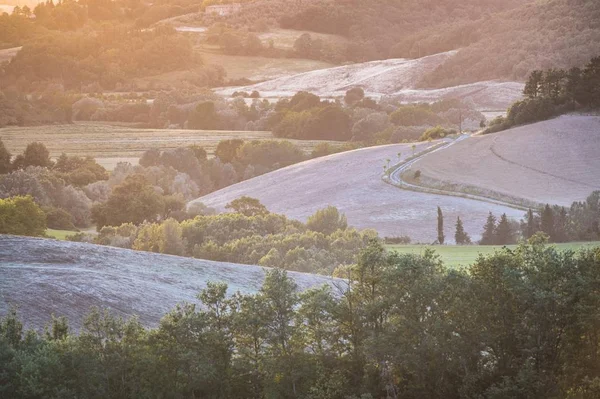 Λοφώδες Τοπίο Δρόμο Χώρα Στο Σούρουπο Villamagna Τοσκάνη Ιταλία Ευρώπη — Φωτογραφία Αρχείου