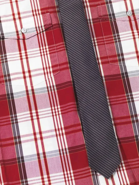 Fancy male red tartan shirt with a slim stripy necktie