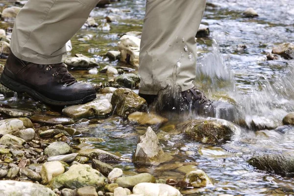 Escursionista Piedi Attraverso Fiume Wutach Poco Profondo Nella Foresta Nera — Foto Stock